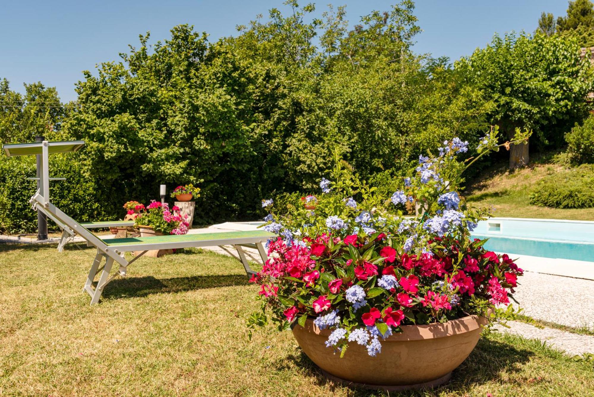 Agriturismo B&B Bio La Tana Del Lele Serra San Quirico Exterior photo